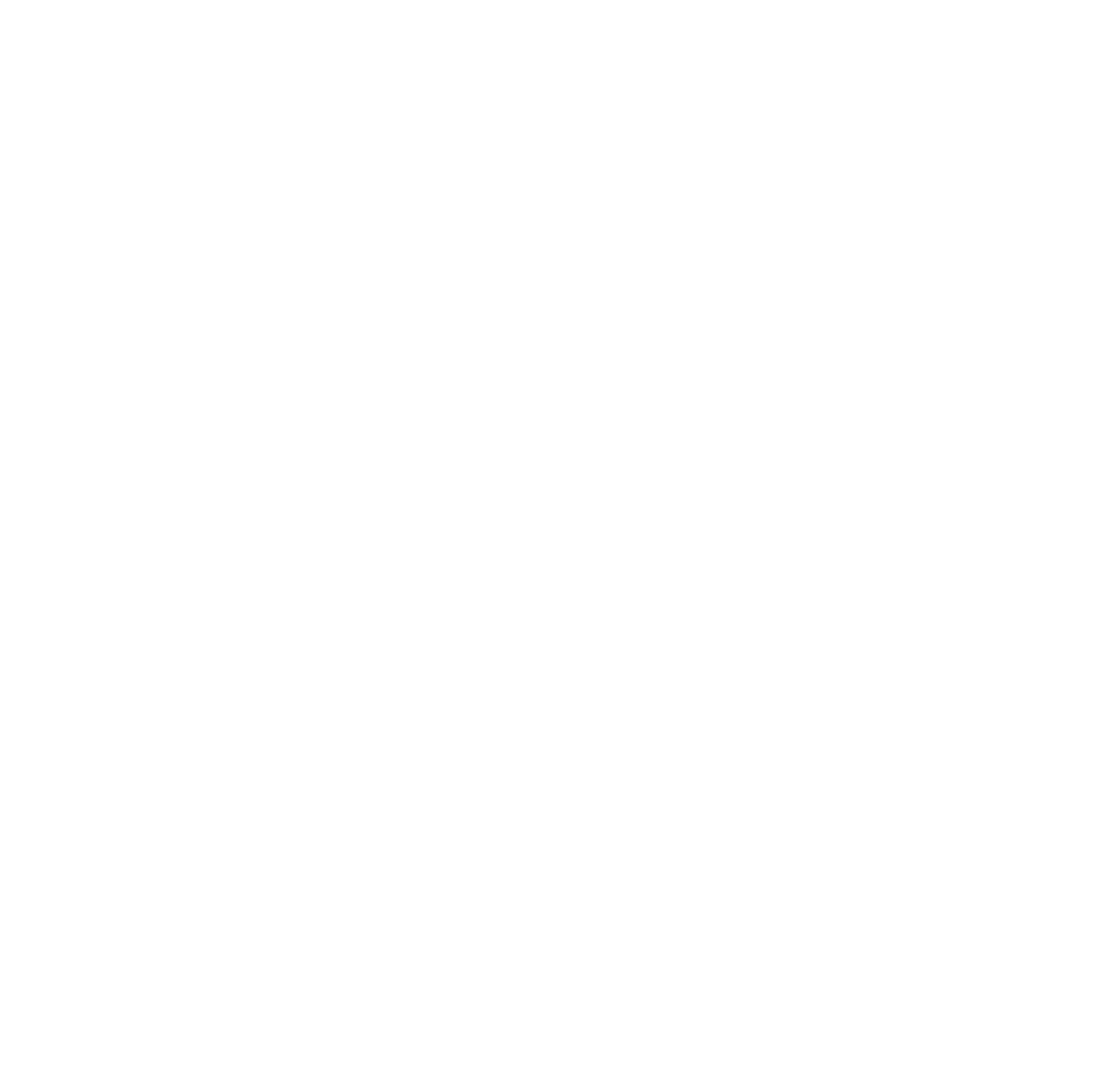 ISS company logo